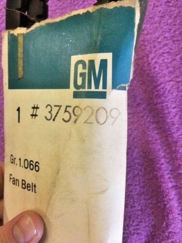 1950's-1960's Chevrolet NOS (SHOP ART / WALL ART / DECOR) Fan Belt #3759209 - Image 2